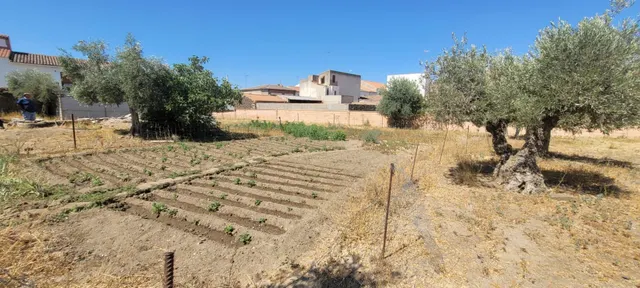 SOLAR URBANO EN VILLANUEVA DEL DUQUE - foto 5