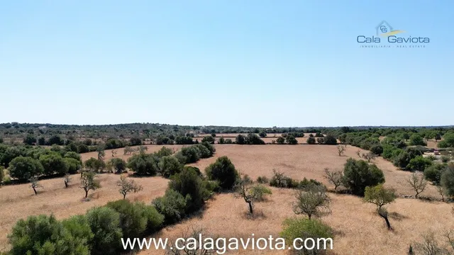 Terreno de 19.000 m2 a 2 km de Ses Salines - foto 4