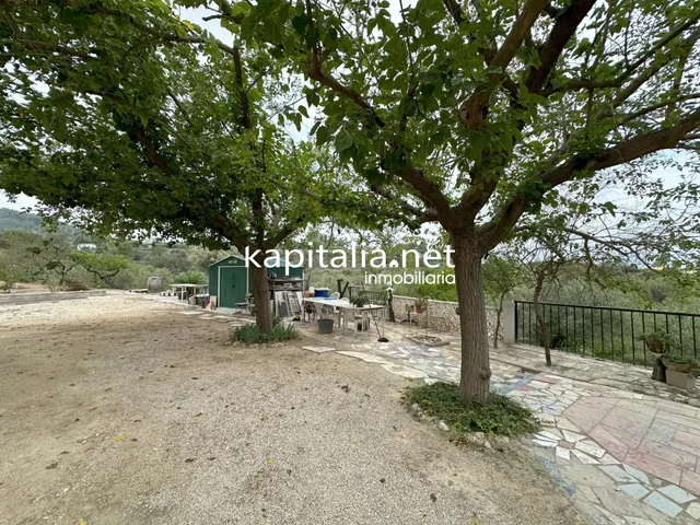PARCELA CON CASITA A LA VENTA EN ONTINYENT — 6
