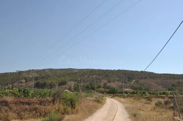 Parcela rústica en venta en Pinoso, Comunidad Valenciana - foto 4