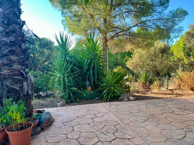 E.  espectacular finca en Villaviciosa de Córdoba – en pleno corazón de sierra morena — 40