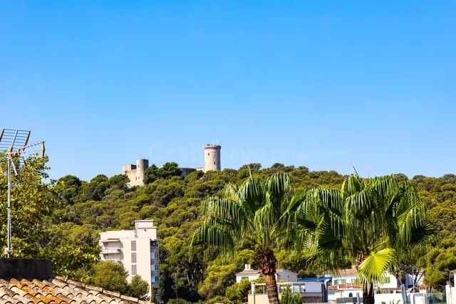 ALQUILER ATICO DUPLEX EN SON ARMADAMS PALMA DE MALLORCA - foto 3