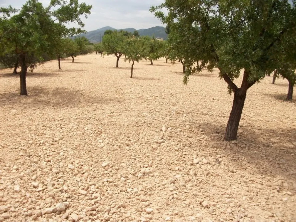 Parcela de 10.000 metros rural