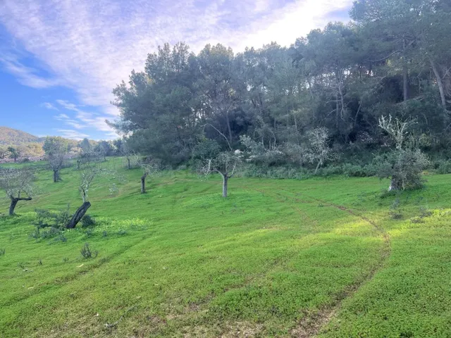 Terreno en Felanitx