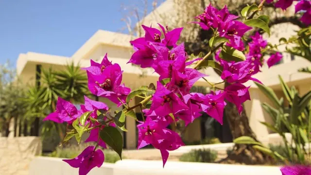 Villa 4 habitaciones 350m² en venta - La marina — 15