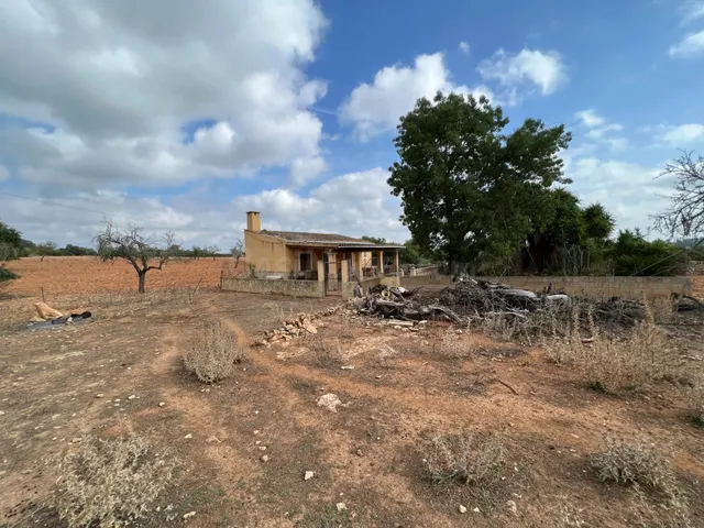 TERRENO EN SINEU PARA CONSTRUIR VIVIENDA DE 800 m2 - foto 4