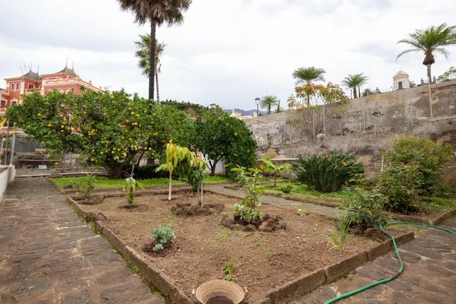 CASONA EN LA OROTAVA — 9