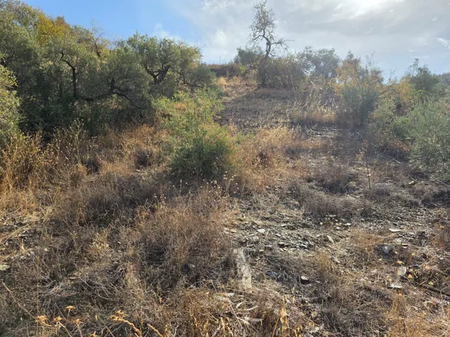 CASA CAMPO CON TERRENO DE 1 HECTAREA EN TOTALAN — 20