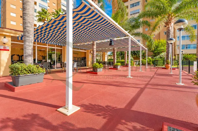 Piso en playa muchavista — 29