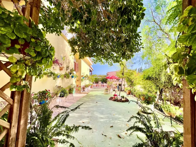 EL NUEVO LUJO: VILLA MEDITERRANEA CON 11.559m2 DE PRIVACIDAD — 21