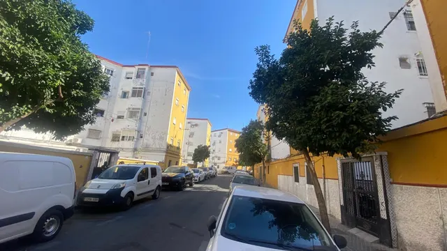 PISO EN LOS PAJARITOS — 19