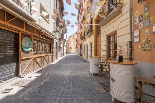 VENTA DE CÉNTRICO PISO CON LICENCIA TURÍSTICA - GRANADA — 45