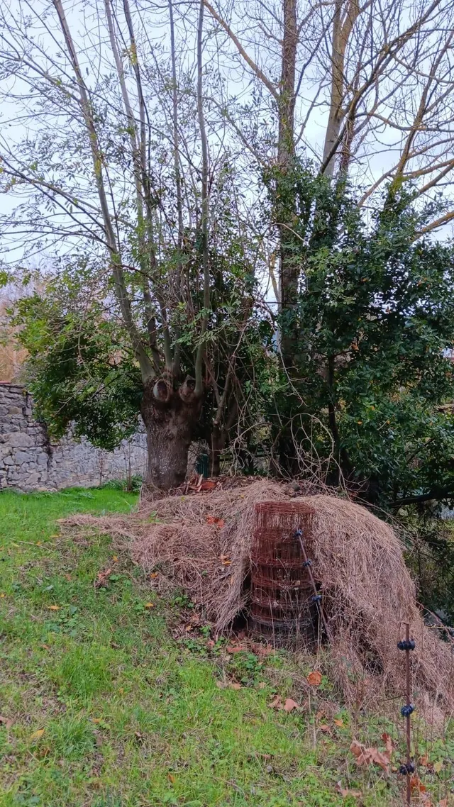 Venta terreno urbano en el Valle De Mena — 7