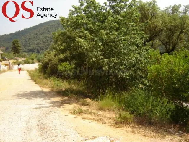Terreno en Sant Feliu de Buixalleu - foto 3