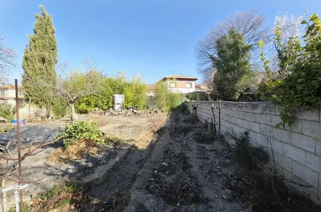 Solar en Cozvijar — 19