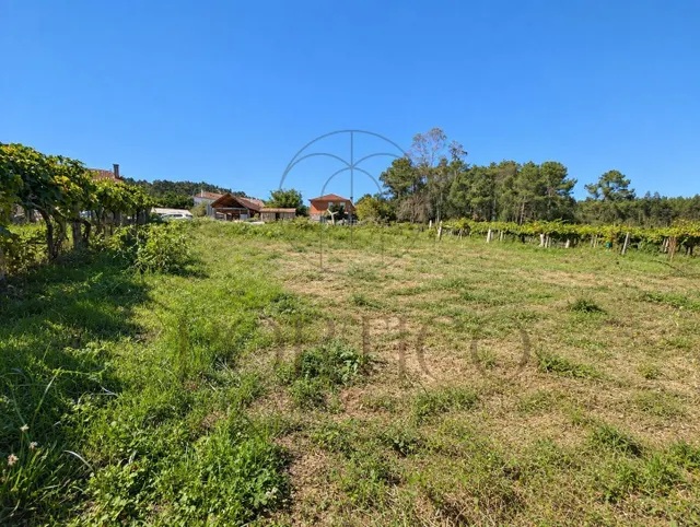 952 m2 para construir la casa que llevas tiempo imaginando — 2