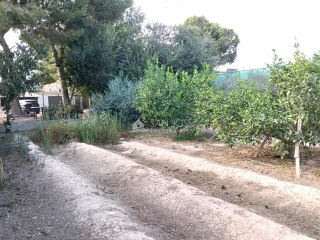 SE VENDE CHALET EN BUEN ESTADO EN MONFORTE DEL CID EN LA ZONA DEL FONT DEL LLOP — 39