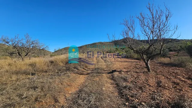 GRAN TERRENO JUNTO A LOS ALTOS DE LAS PALAS – REF. 2112 - foto 3