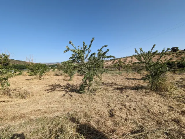 Terreno urbano 58m² en venta - CARRETERA — 8