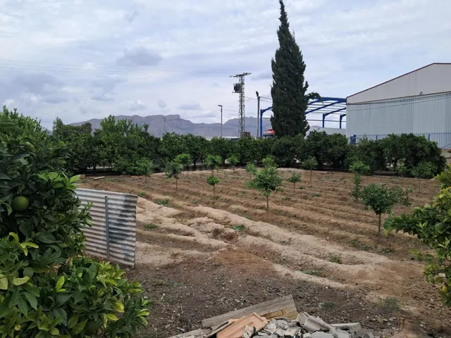 FINCA CON 3 APARTAMENTOS, NAVE Y 2.325 M2 DE PARCELA EN EL R - foto 5