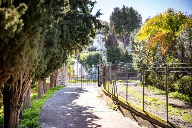 Finca rústica 5 habitaciones 276m² en venta - Conde de Ureña-Gibralfaro — 49