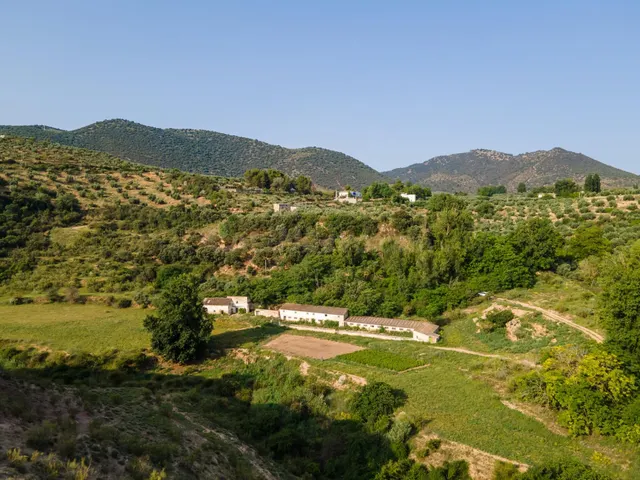 Dehesa zona Sierra Magina en Cambil y Huelma - Jaen - foto 2