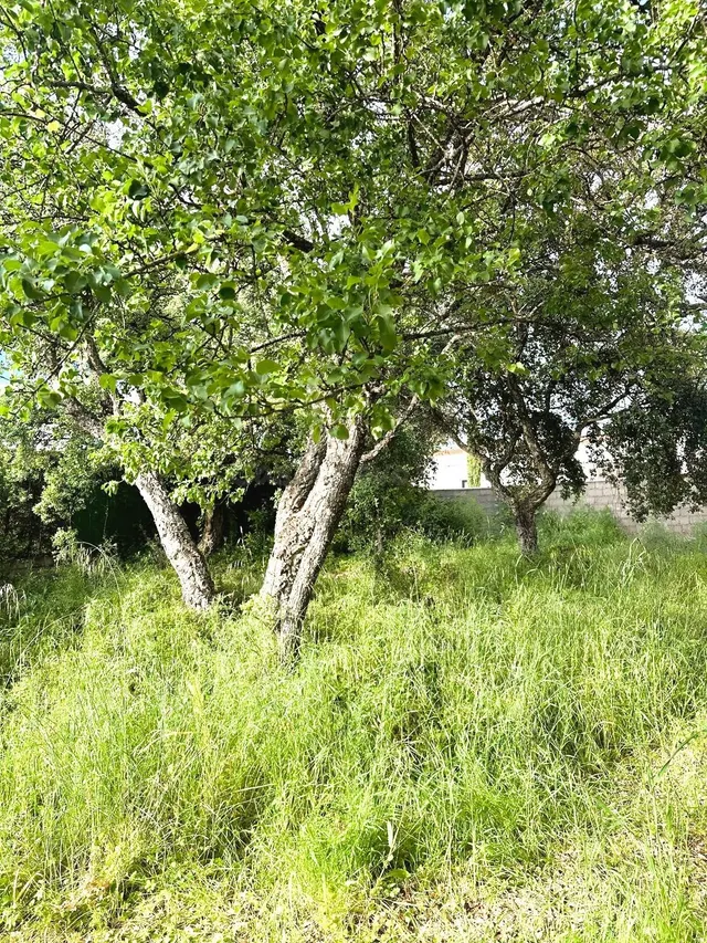 Parcela en venta en la Sierrila - foto 3