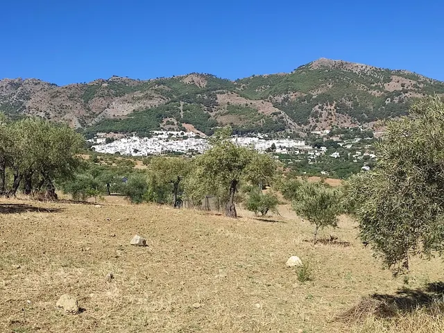 Parcela en venta - South of spain — 10