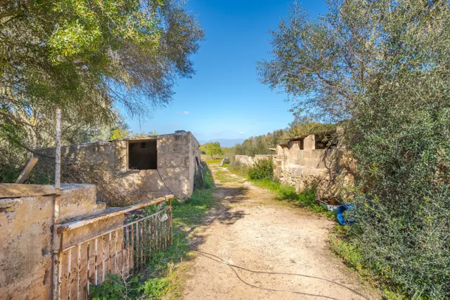 Finca de 124 hectáreas con vivienda en Puigderrós, Llucmajor. — 12