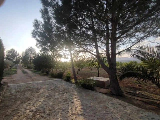 Casa de campo con 5.170 m2 de parcela a 9 min de Pinoso — 43