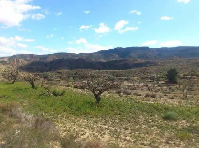 TERRENO RÚSTICO en Los Roques MURCIA — 6