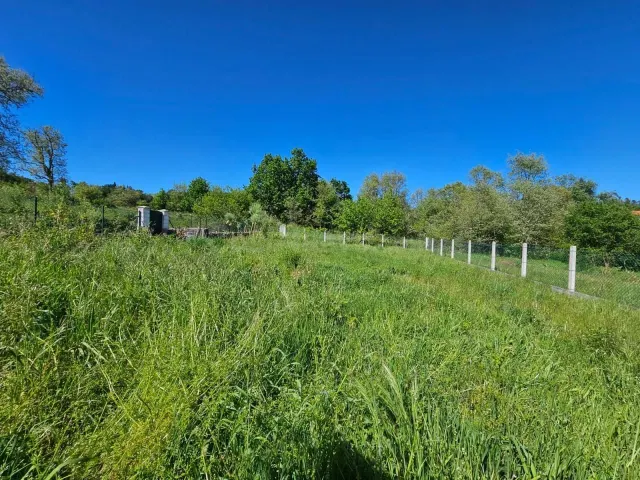 EXCLUSIVA!!! SE VENDE CASA EN ALDEA NAVES - PALMES - foto 2