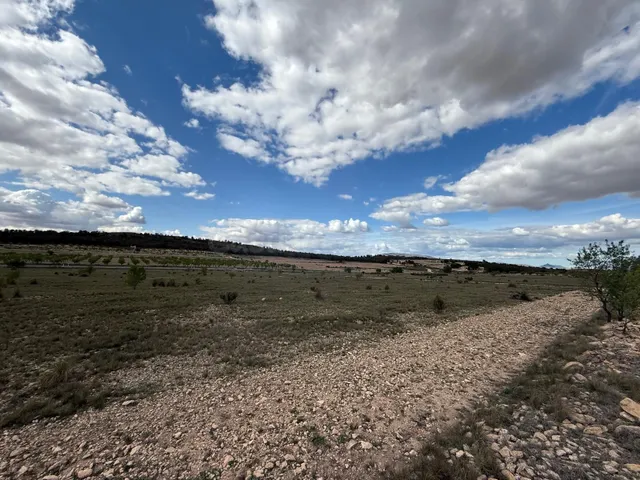 Terreno en Yecla sin agua - foto 5