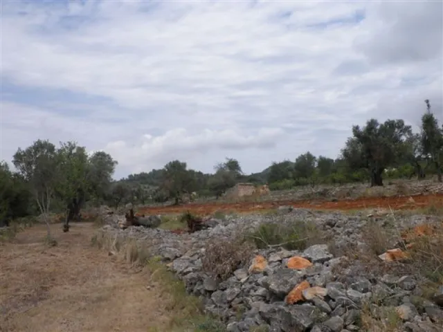 Parcela Rústica apta para la construcción de una vivienda unifamiliar en 2 plantas — 10