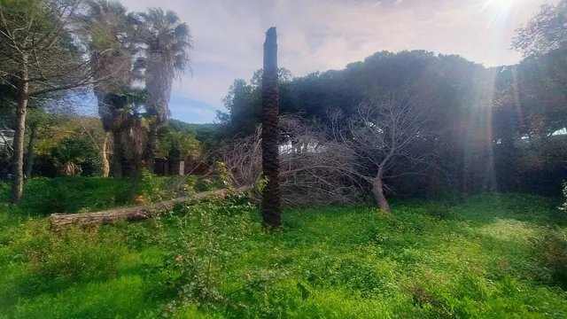 Parcela 727m² en venta - Marbella — 10