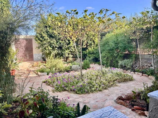 Finca en Son Mesquida: un proyecto de vida en el campo mallorquín — 17