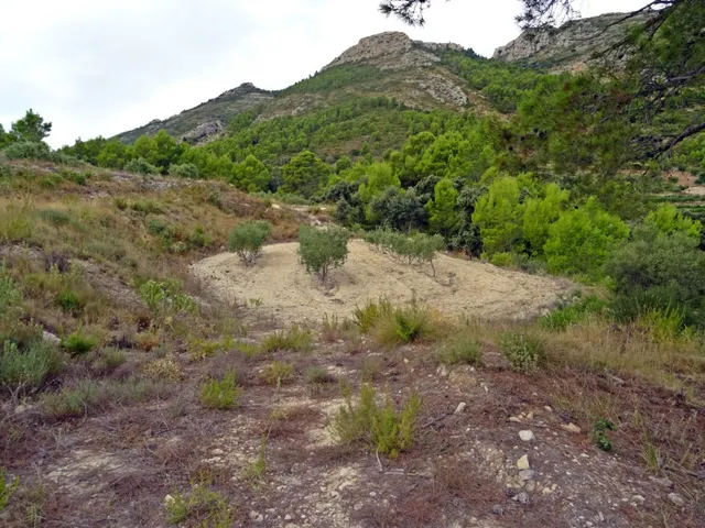 Bodega en venta en Jalon — 18