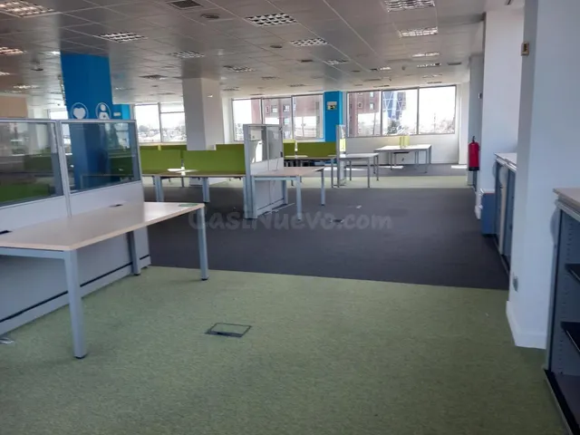 CASTILLA, OFICINA EXTERIOR- DIAFANA 533m2, Excelente Luz Nat - foto 5