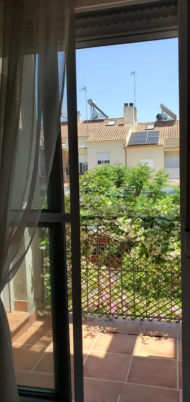 ¡oportunidad en nuevo bulevar! amplio chalet adosado con jardín único y dos plazas de parking privadas. — 22