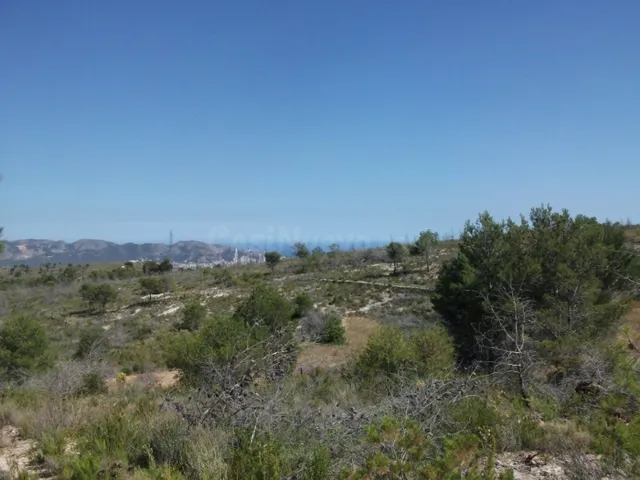 Terreno rural en venta - Urbanizaciones - foto 3