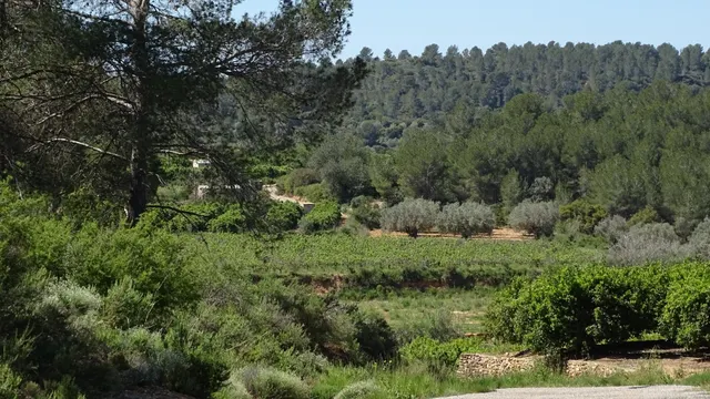 Terreno en venta en Vilamarxant — 10