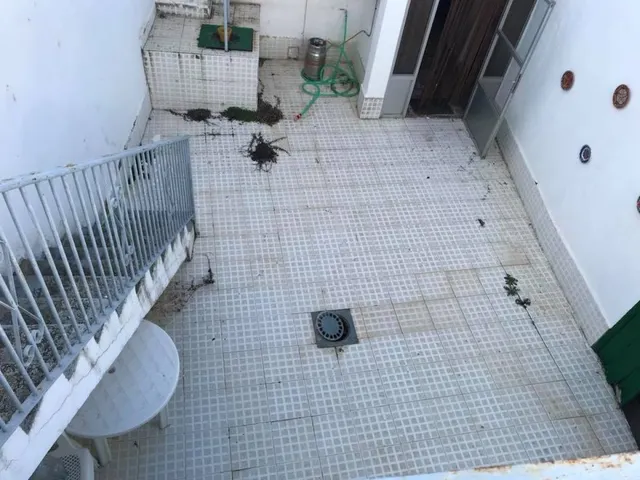 CASA CON LOCAL HACIENDO ESQUINA EN FUENTE OBEJUNA — 10