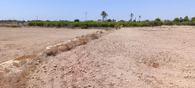 Terreno urbanizable en Elche pedanias zona Perleta - foto 5