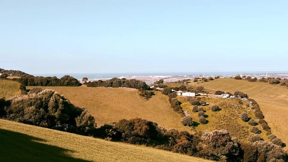 finca rústica en la zona de patria, Vejer de la frontera