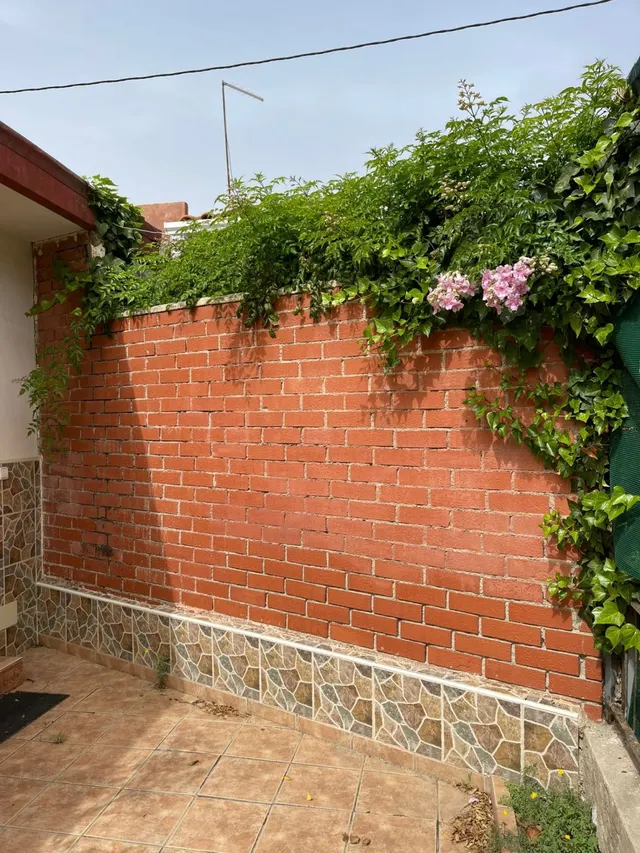 CASA CON ENCANTO Y JARDÍN EN EL CABO DE LAS HUERTAS — 30