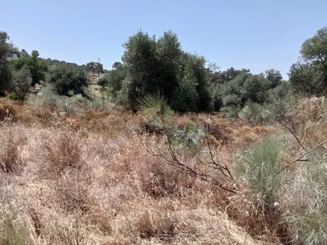 PARCELA EN URBANIZACIÓN SAN BENITO ABAD, CASTIBLANCO DE LOS  - foto 2