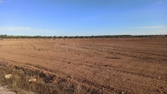 Se venden dos parcelas rústicas de riego en Mahora, Albacete - foto 5