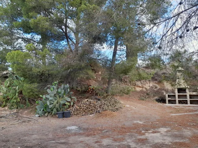 OPORTUNIDAD FINCA RUSTICA DE REGADIO CON CASA DE CAMPO EQUIPADA EN ASCO — 4