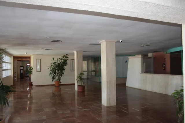 Estudio en Matalascañas — 16