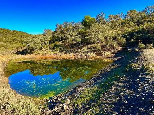 OBEJO - Finca de 8 hectáreas con casa de 110 m2 con 4 habita